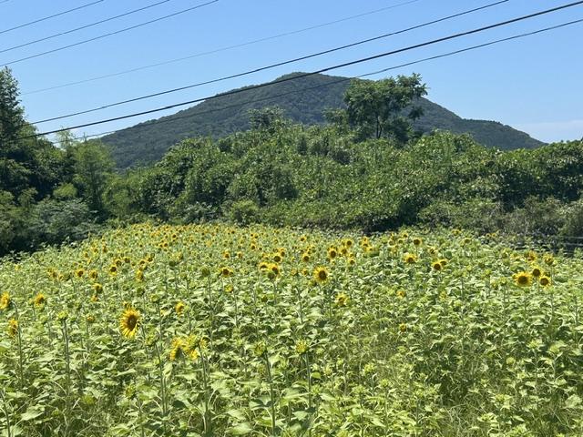 image4.jpeg
